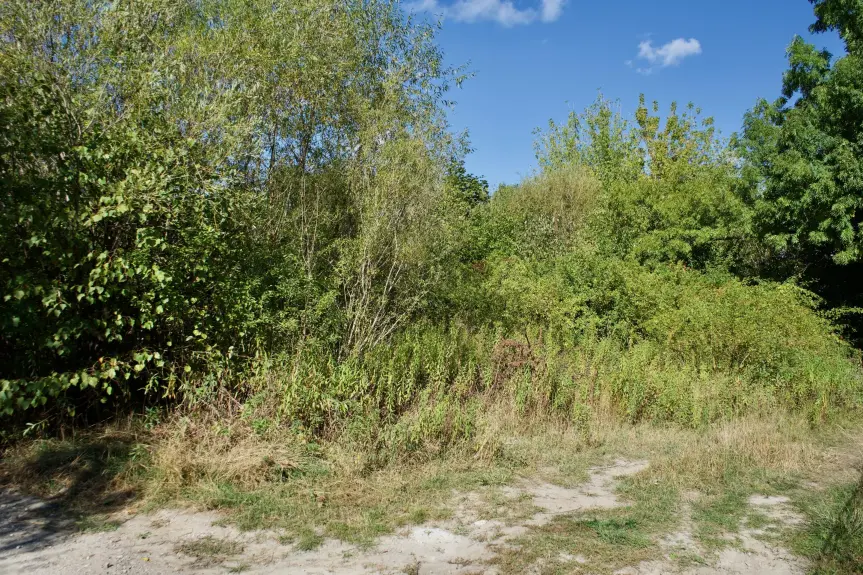 Warszawa, Wesoła, Działka na sprzedaż