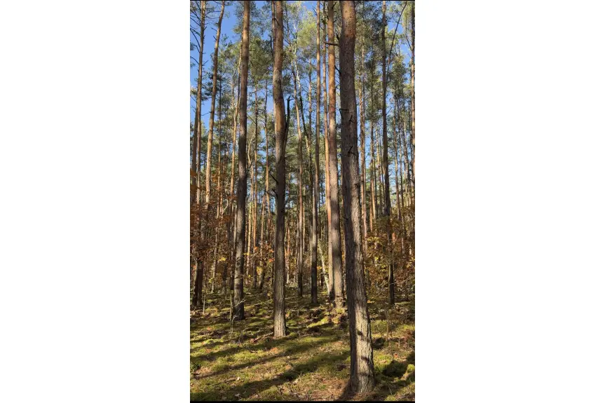 Warszawa, Wesoła, Działka na sprzedaż